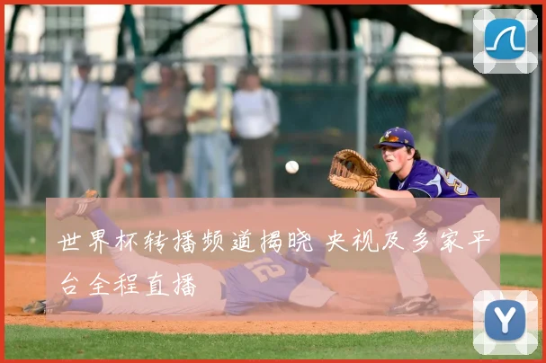 世界杯转播频道揭晓 央视及多家平台全程直播