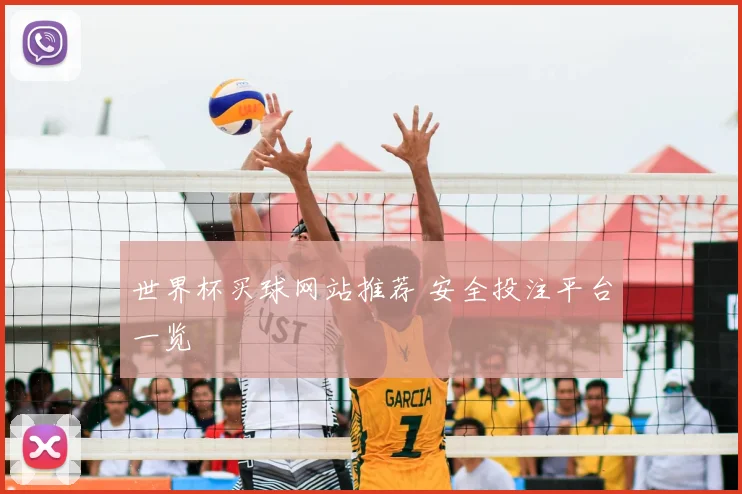 世界杯买球网站推荐 安全投注平台一览