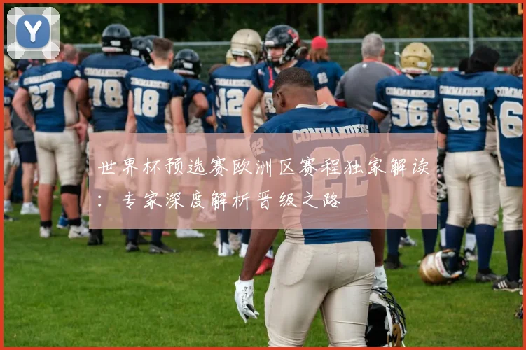 世界杯预选赛欧洲区赛程独家解读：专家深度解析晋级之路