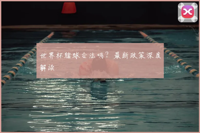世界杯赌球合法吗？最新政策深度解读