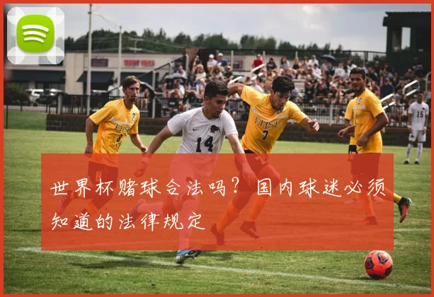 世界杯赌球合法吗？国内球迷必须知道的法律规定