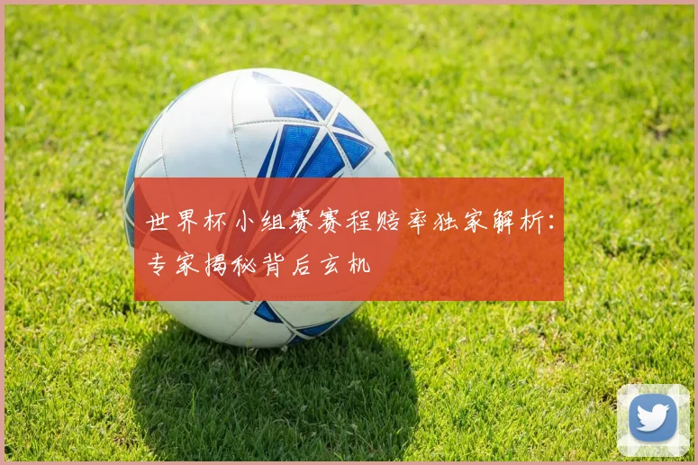 世界杯小组赛赛程赔率独家解析：专家揭秘背后玄机