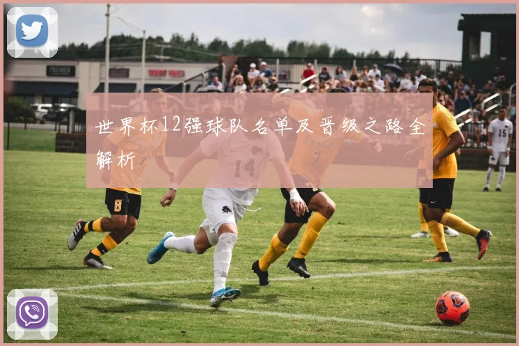世界杯12强球队名单及晋级之路全解析