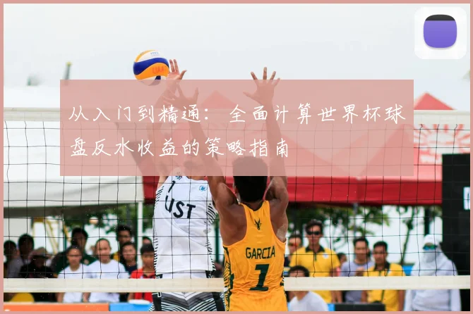 从入门到精通：全面计算世界杯球盘反水收益的策略指南